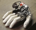 420BlazeIt's Avatar