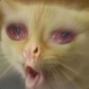 1337mabz's Avatar