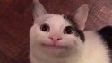 KEISHA420's Avatar